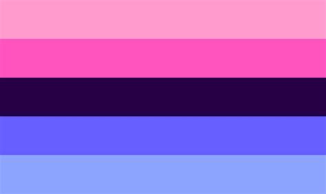 omnisexual flag|Omni Flag & Omnisexuality Flag Meaning